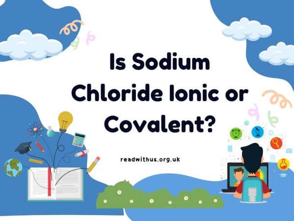 Sodium Chloride Ionic Or Covalent Read With Us