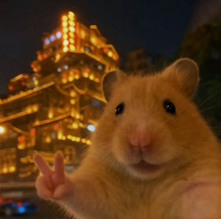 How A Reading Tutor Can Enhance your Children’s Learning Skills?